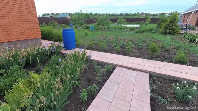 #vlog#после дождя #мои пионы #дорожка почти готова # смотреть онлайн