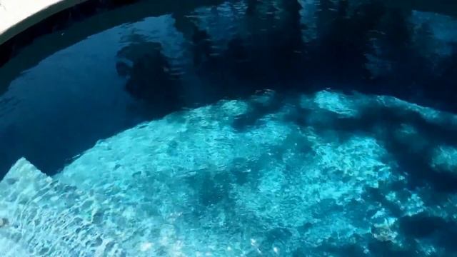 SunStone Aqua Pearl with abalone смотреть онлайн