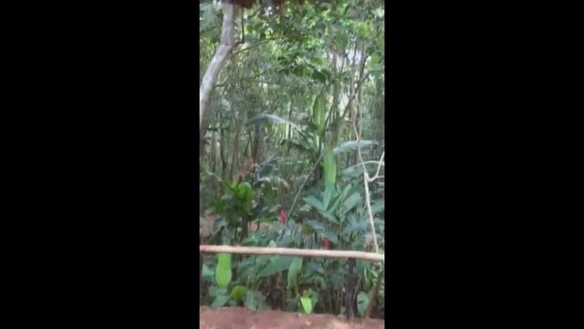 СВОИМИ ГЛАЗАМИ БРАЗИЛИЯ и АРГЕНТИНА!!! глотка дьявола!!!HD! на краю света! смотреть онлайн