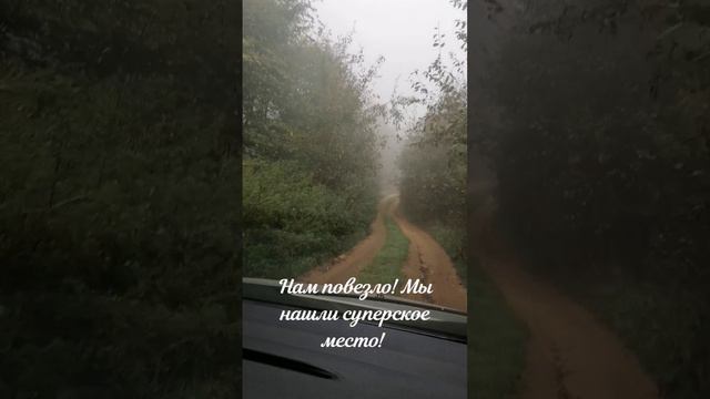 Раннее утро