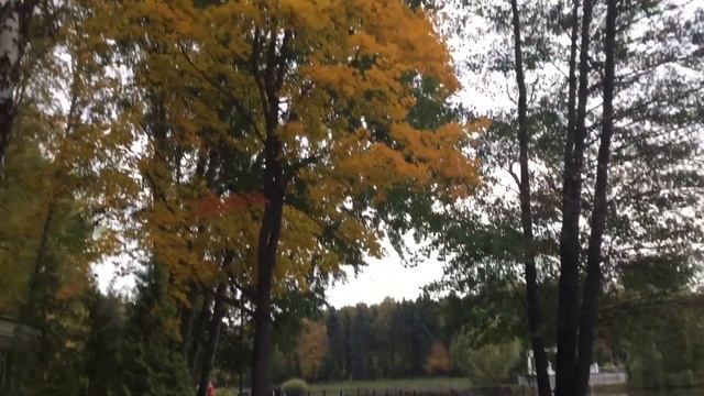 «Осенние композиции» Выпуск 19/20. «Autumn composition» смотреть онлайн