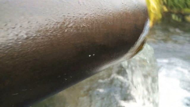 ГДЕ ВЗЯТЬ ЧИСТУЮ ВОДУ? смотреть онлайн