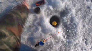 РЫБАЛКА НА КАЗАКОВА НА ЛЕЩА НА ЯМЕ НА ЛЕНИНСКОМ ПРОСПЕКТЕ НА ДУДЕРГОФСКОМ КАНАЛЕ ЗИМОЙ 2023