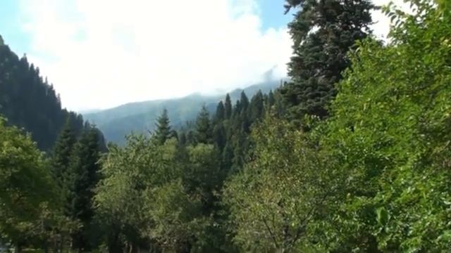 Путешествие в Абхазию с Вадимом Старовым ( озеро Рица, дача Сталина) смотреть онлайн