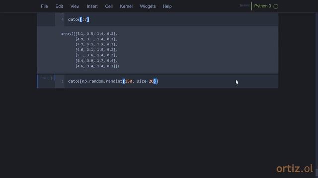 NumPy - Ejercicio 216: Contar los Valores Faltantes en un Arreglo Bidimensional смотреть онлайн