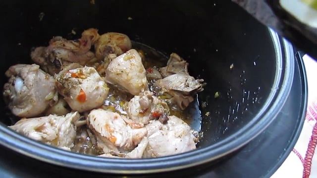 Цирковые Представления и Шоу