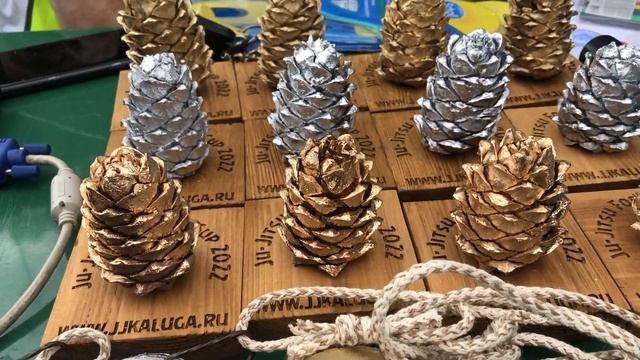 BJJ Forest Cup 2022 в Калуге! ОБЯЗАТЕЛЬНО ПОСМОТРИ ПОЛНЫЙ репортаж. Полный БЖЖ НАСТРОЕНИЯ! смотреть онлайн