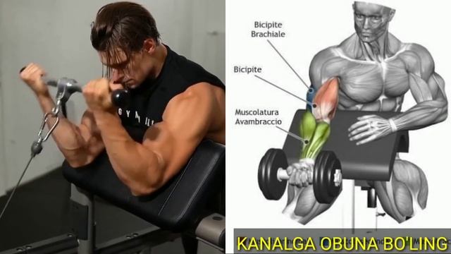 ?? Qo'l Muskul, Mushaklarini To'g'ri Chiqarish Mashiqlari. BITSPS TRIPSIZ ??