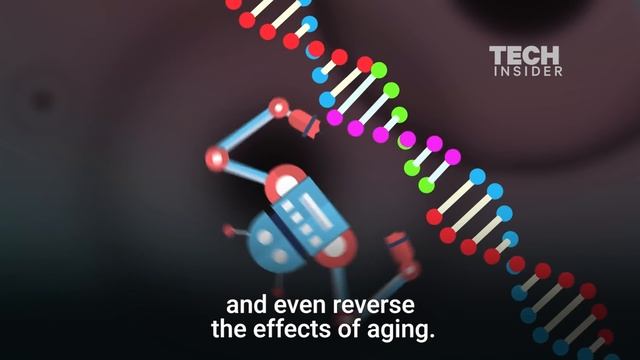 What Humans Will Look Like In 1,000 Years смотреть онлайн
