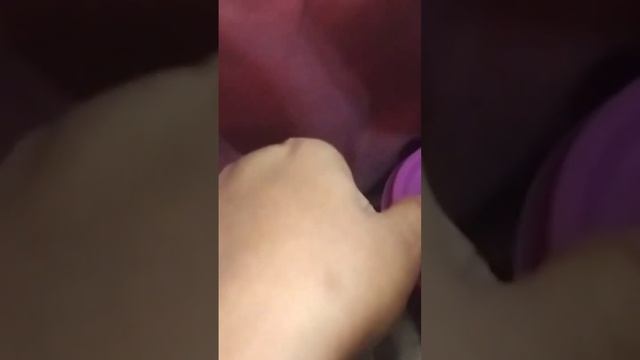 Tupperware bag +boxes смотреть онлайн