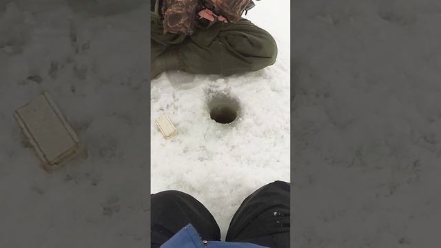 Зимняя рыбалка. Окунь на мормышку на Финском заливе смотреть онлайн