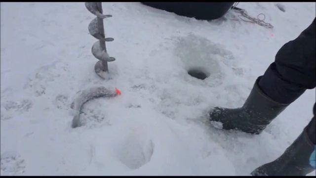 Утренние поимки 3 сектор!!!Клевое место .д. Савельево смотреть онлайн