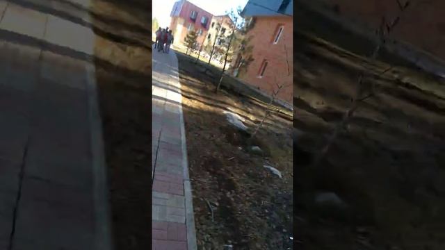 Влог из Сказки номер 3)#липисин смотреть онлайн