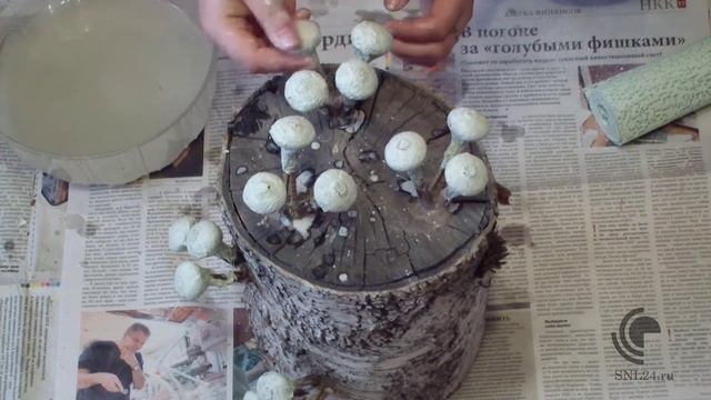 Новая реставрация!!! Реставрация пня c опятами! смотреть онлайн