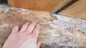 Сруб из Карельской сухостойной сосны (Кело)