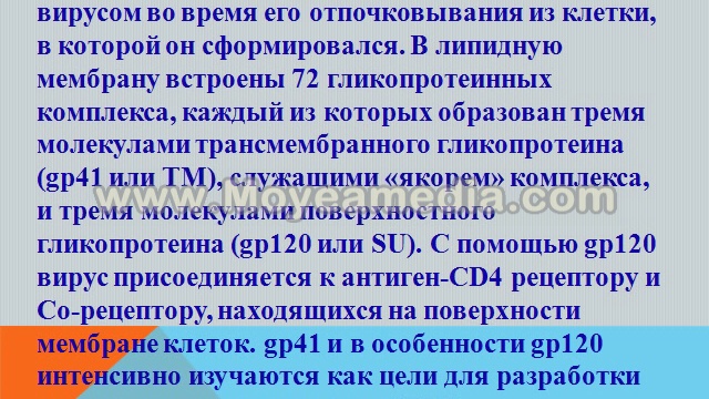Презентации внекласной работы
