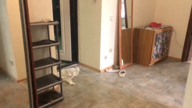 Аренда 2-квартиры 75 кВ.м. Реутов, ул. Советская, д.18. смотреть онлайн