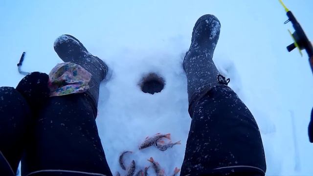 Зимняя рыбалка. Окунь на балансир и безмотылку) смотреть онлайн