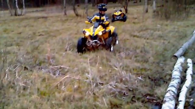 Renegade 800 Lakes Waves.mp4 смотреть онлайн