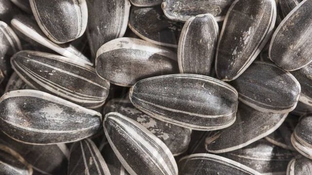 Полезны ли семечки - это нужно знать смотреть онлайн