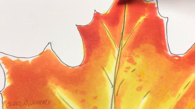 Beginner Marker Tutorial | How to draw and color a MAPLE LEAF! смотреть онлайн