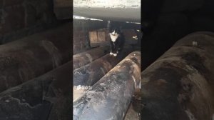 1000023846.mp409.03.2024г.