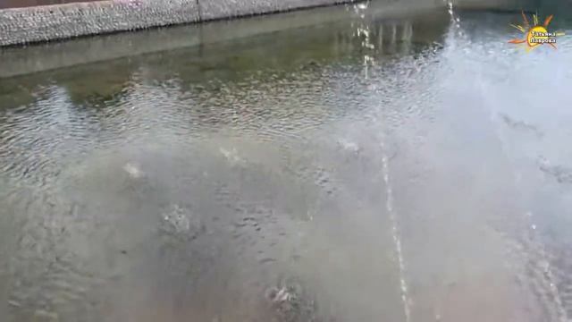 ОЗЕРО г. Шымкент смотреть онлайн