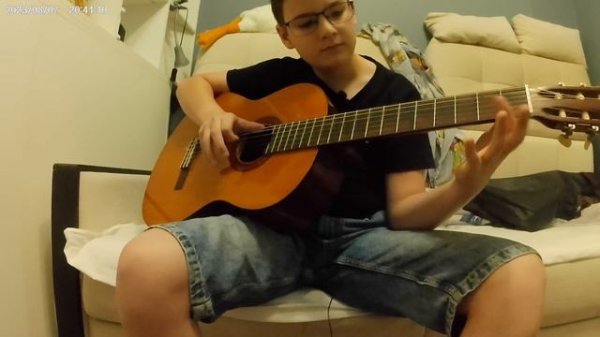 was wollen wir trinken на гитаре