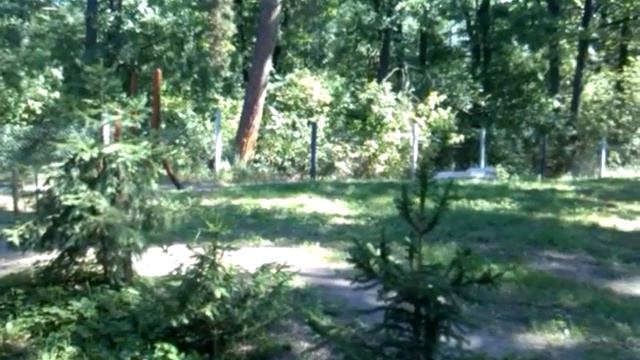База отдыха "У ЮРЫ" река Рось ч 1 смотреть онлайн