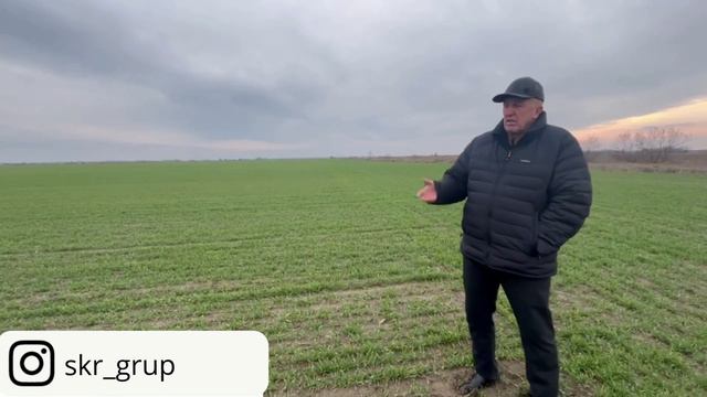 Идеальная работа Carbon D5000 и Carbon K8000. Отзыв о нашей техники. Крым.