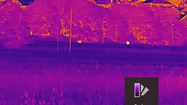 Hikmicro Falcon FH35 - Human&dog on 215m, Horses on 290 and 400m смотреть онлайн