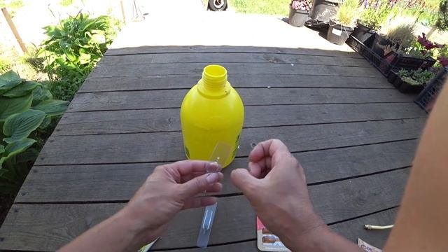 СПАСАЕМ РОЗЫ от ТЛИ и ПЯТНИСТОСТИ!!!!! смотреть онлайн