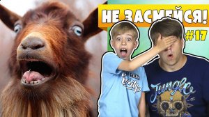 НЕЗАСМЕЙСЯ ЧЕЛЛЕНДЖ! Спящий КОТ, КОЗЁЛ и ХАСКИ! МАМИНА ПОДБОРКА #17