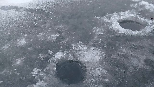 Ловля живца зимой (карася). Снасть для ловли живца. Поиск крупной рыбы смотреть онлайн