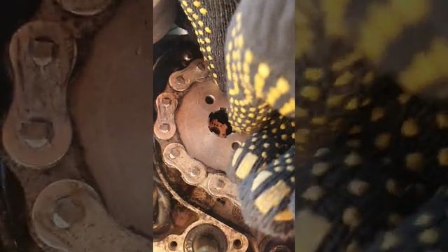 Zuum Cr250 Cb замена ведущей звезды с 13 на 14