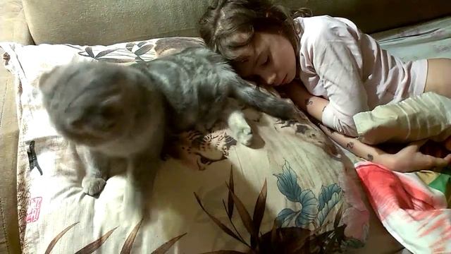 Где любит спать котёнок смотреть онлайн