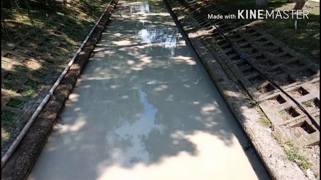 Анапа обо всём!!!