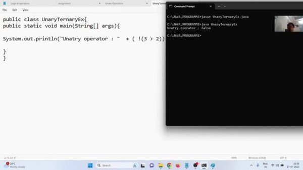 Java SE: Unary and Ternary Operator