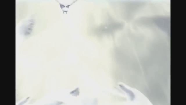 DELIVERANCE PRAYER FROM EVIL SPIRITUAL BIRDS смотреть онлайн