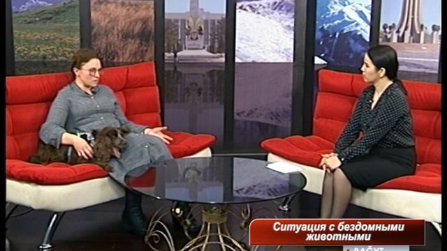 Bagyt. Ситуация с бездомными животными смотреть онлайн