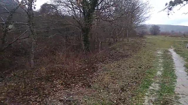 Канал между ЖК и горой на севере от ЖК 9 января 2021 г. смотреть онлайн