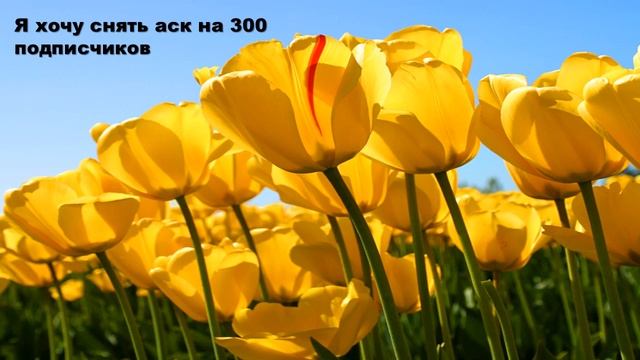 ВОПРОСЫ ДЛЯ АСК ПИСАТЬ СЮДА смотреть онлайн