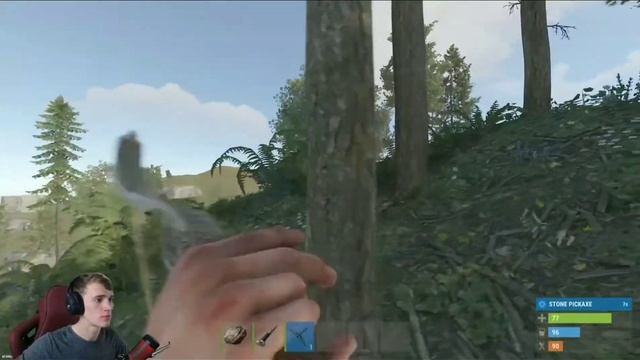 ЛЁГКИЕ ПИТОНЫ В РАСТ смотреть онлайн