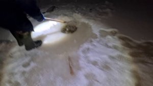 ХАПУГА ТРЕЩИТ ОТ РЫБЫ! РЫБАЛКА НА ХАПУГУ ХЛОПОК! ОГРОМНЫЙ УЛОВ КАРАСЯ!