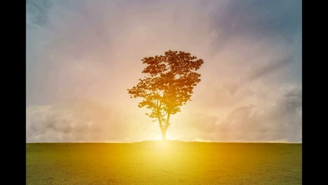 Сон [песня на стих Вознесенского] смотреть онлайн