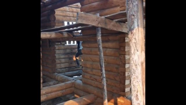 Волонтеры спасают животных, пострадавших от пожара в Горном районе смотреть онлайн