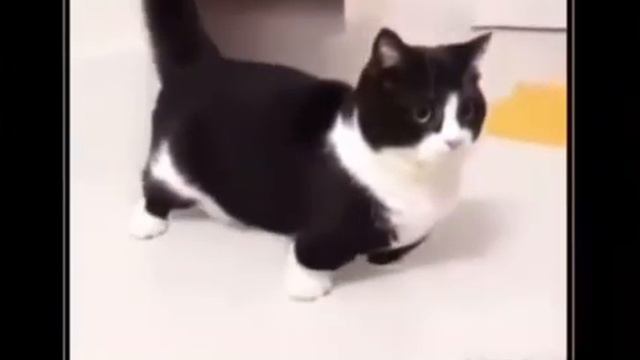 GARRETT смотреть онлайн