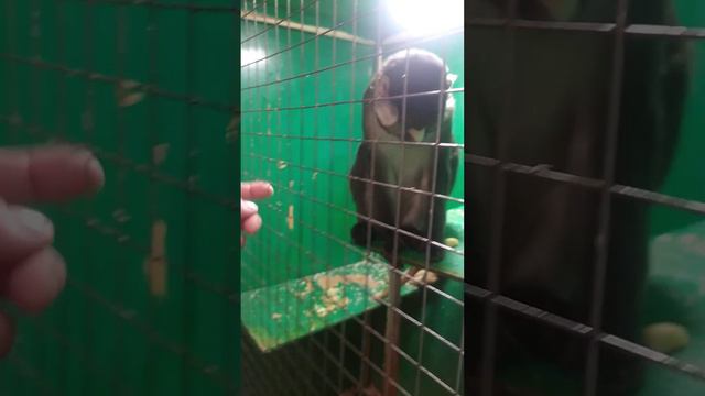 мы сегодня вчера были в зоо смотреть онлайн