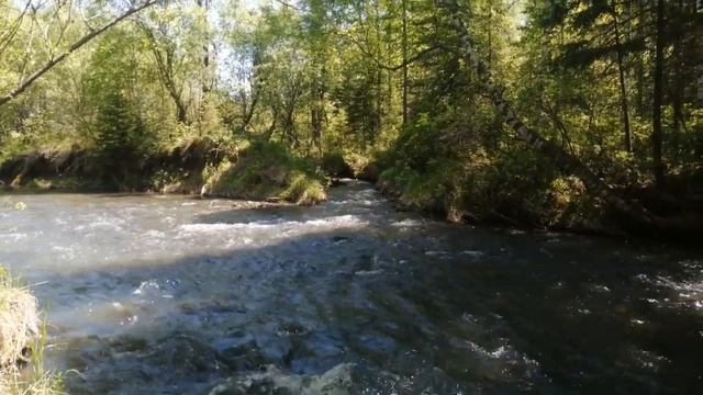 14 июня 2023 года. Летний влог, вылазка на природу, работы на даче смотреть онлайн