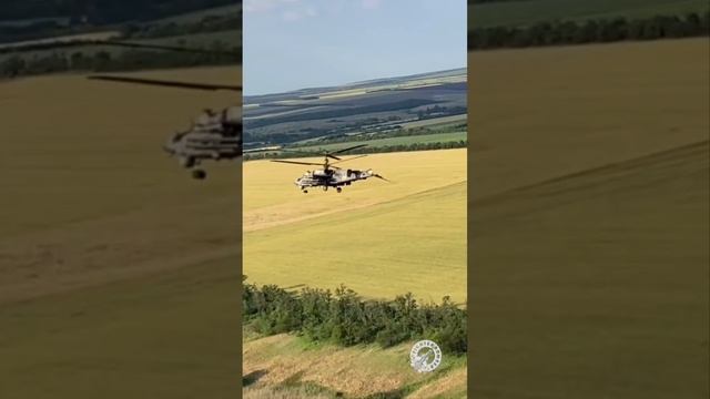 ??Ka-52 アリゲーターの驚異的な生存力を示す貴重な映像。??英国製対空ミサイルに尾部に?命中されたにもかかわらず、ヘリコプターは尾部の一部を失ったが飛行を続け基地までたどり着いた。 смотреть онлайн